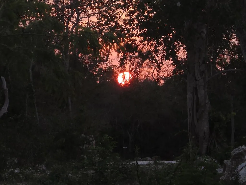 ** Bed & Breakfast Bed and Breakfast Casa Mango Tulum Messico