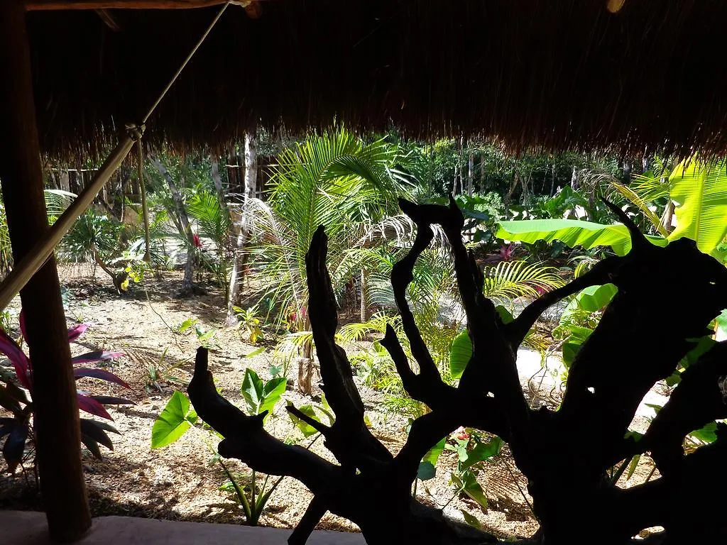 Bed and Breakfast Casa Mango Tulum