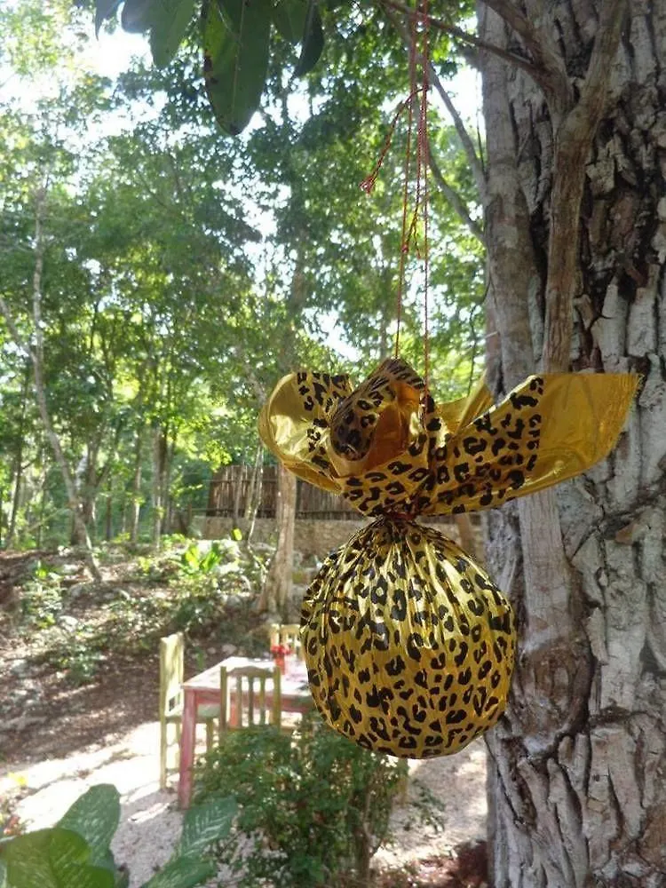 Casa Mango Bed & Breakfast Tulum